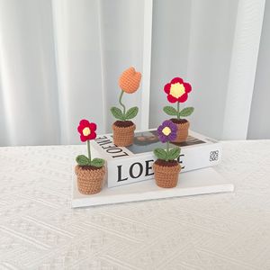 Vaso per Piante Mini in Crochet 2026, Decorazione Floreale, Regalo Creativo, Ornamento Compatto Adorabile - Product Image 2