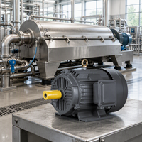 Moteur à induction triphasé en fonte IP55 200 kW pour décanteur