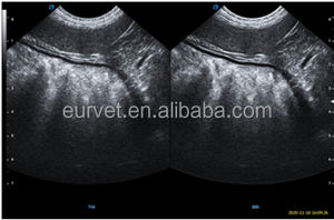 EUR VET Equipo de ultrasonido médico Escáner 4d <span class=keywords><strong>5d</strong></span> Carro digital completo Máquina de ultrasonido Doppler a color - Product Image 6
