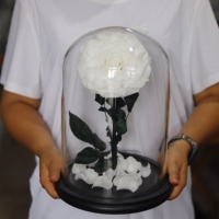 Vente en gros de fleurs de rose préservées longue durée sous dôme, éclairage solaire, respectueuses de l'environnement, 3-5 ans, pour la Fête des Mères et la Saint-Valentin