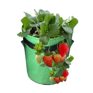Sacchi per Coltivazione Invertita OEM DD1570 da 4, 7, 10 Galloni per Piantine, Fragole e Ortaggi con Foro - Product Image 3