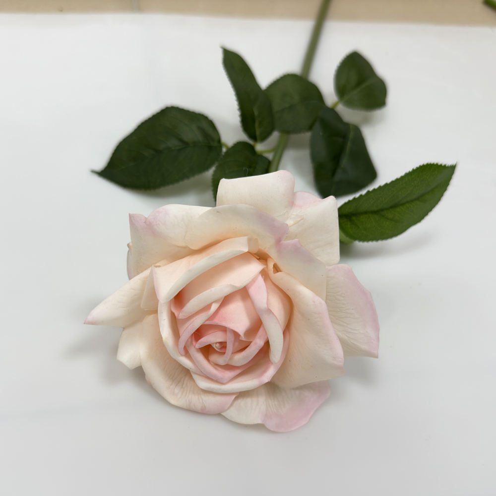 สีชมพูอ่อน