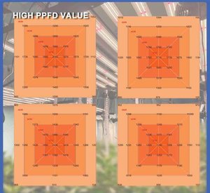 Samsung Lm301h Evo Lm281b Led élèvent la lumière à spectre complet 1000W 10 barres Uv Ir1000w élèvent la lumière augmentent les anthocyanines - Product Image 4