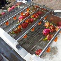 Hoogwaardige machines voor het reinigen en verwerken van groenten en fruit, wasmachine voor aardappelen, tomaten, wortelen, gember en fruit, bubbelwasmachine