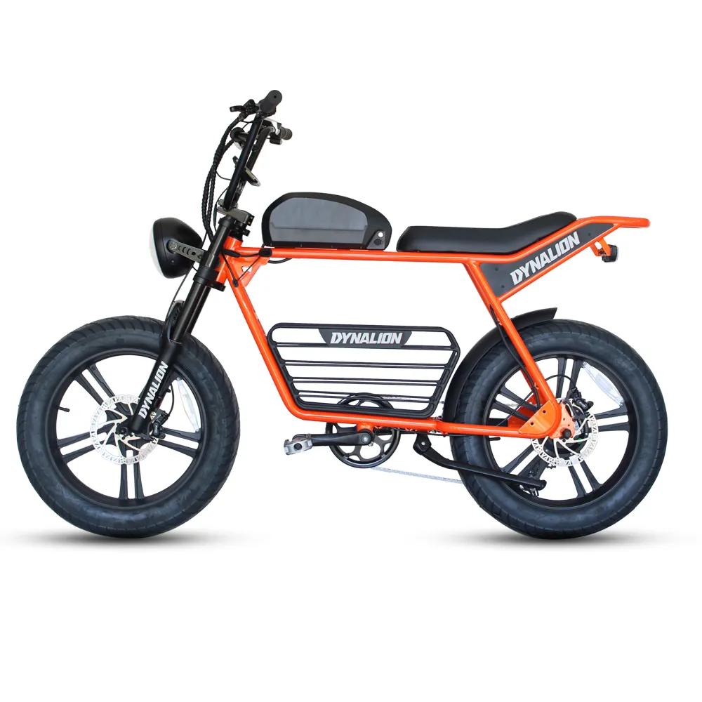 Latest Design Cheap Price 48V 750W 1000W Aluminium Alloy Retro Ebike Fat Tire Mountain Electric Bicycle