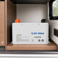 Batería de Litio de Ciclo Profundo Arcane Surge WKC-F06-1280 12.8V 100Ah LiFePO4 1.28kWh, 4000 Ciclos, para Almacenamiento de Energía Solar RV, 12.5kg
