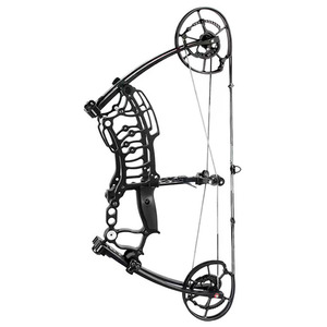 Les fabricants de matériel de tir à l'<span class=keywords><strong>arc</strong></span> peuvent tirer en gros <span class=keywords><strong>arc</strong></span> de <span class=keywords><strong>poulie</strong></span> composite à billes d'<span class=keywords><strong>acier</strong></span> - Product Image 1