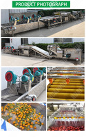 Hoge Kwaliteit Groene Bladgroente En Fruit Wassen & Droge Machine Kerncomponenten Incl.