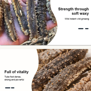 Bán Buôn Khô Thorn King Sea Dưa Chuột Indonesia Biển Dưa Chuột Giá - Product Image 3