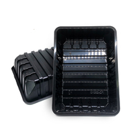 Barquette en plastique PP personnalisée pour viande congelée, formage sous blister, forme rectangulaire