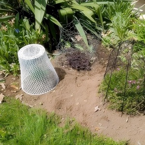 Couverture de protection en fer pour plantes, treillis de jardin, cage de protection pour semis, fruits et légumes, outils d'entretien des semis - Product Image 4