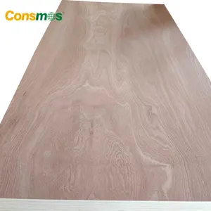 1220*2440mm Okoume Bintangor Crayon Cèdre Pin Bouleau Sapele Contreplaqué Commercial - Product Image 2