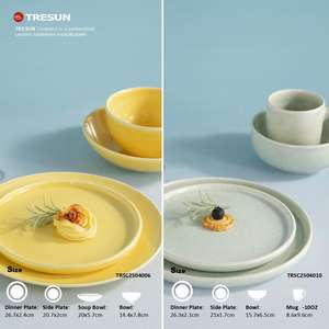 Juego de Vajilla de Gres de 16 Piezas, Estilo Europeo de Lujo, Color Verde, Esmaltado en Horno, Diseño Rústico Nórdico, Venta al Por Mayor - Product Image 6