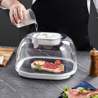 Nouvel arrivage : Plateau de décongélation en plastique antiadhésif et écologique pour viande et aliments surgelés, compatible lave-vaisselle, outil de cuisine domestique