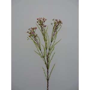 Spray de fleurs de cire 80CM PK - Product Image 1