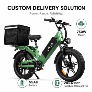 Bicicleta Eléctrica de Alta Capacidad 48V 55Ah, 240km de Autonomía, 750W 80Nm, Neumáticos Anchos, con Señales de Giro, para Repartidores - Product Image 1