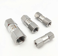 Clapet anti-retour à joint souple en acier inoxydable 304 DN15 1/2'' à filetage femelle, type fendu