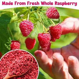 APCITL 1kg Bulk Freeze Dried <strong>Raspberry</strong> Best Selling Freeze Dried <strong>Raspberry</strong> Vacuum-freeze-drying-machine-for-<strong>raspberry</strong>-fruit - Product Image 5