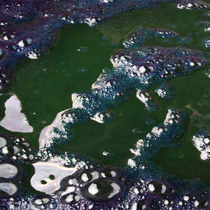 Tinte Azul Índigo Natural en Polvo Granulado al 94% - Product Image 5