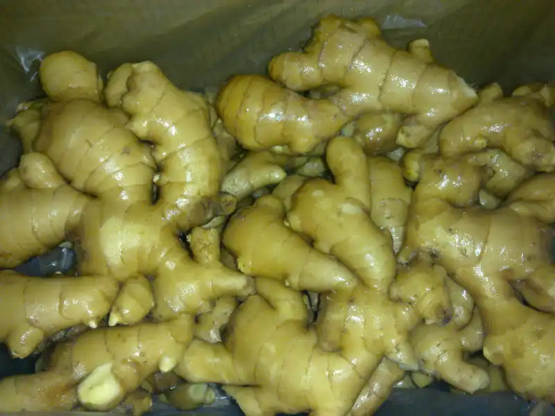 Ginger Ginger Fresh Ginger 50g 100g 150g 200g 250g New Crop Wholesale Cheap Ginger