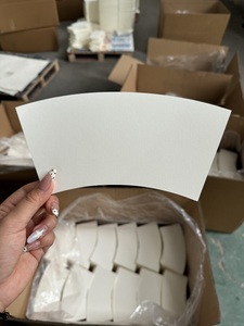 Chuyên Nghiệp Xuất Khẩu Dùng Một Lần Cấp Thực Phẩm Chất Lượng Cao Tráng Duy Nhất Tường Pe Hình Quạt Giấy Cup Fan Nguyên Liệu - Product Image 3