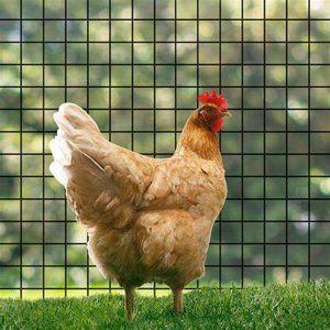 Chinese Factory <strong>Cheap</strong> <strong>Price</strong> Iron <strong>Wire</strong> Welded Mesh Roll for Fence or <strong>Cage</strong> Galvanized PVC Coating <strong>Wire</strong> Mesh Fence for Customized - Product Image 5