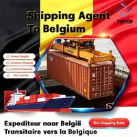 Agent maritime Belgique, transport maritime Bruxelles Sud, agent aéroportuaire Charleroi, agent de fret DDP, transitaire DDP