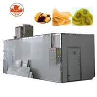 Machine de séchage automatique pour fruits et légumes, déshydrateur d'aliments, de viande et de poissons, pompe à chaleur