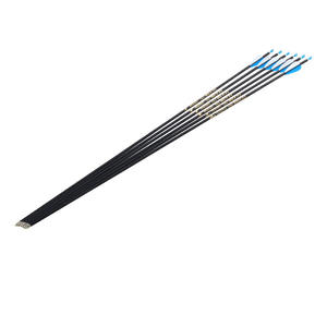 点弓箭比赛训练射箭装备6毫米混合碳箭传统反曲线复合通用