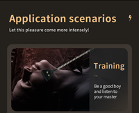 Fouet d'entraînement pour adultes, bâton de choc électrique, jouets sexuels BDSM, fouet érotique sexy et plug anal pour hommes et femmes, outil d'entraînement SM féminin