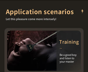 Chicote de Treinamento Adulto com Choque Elétrico, Brinquedos Sexuais BDSM, Chicote Erótico e Plug Anal para Homens e Mulheres, Ferramenta de Treinamento Feminino - Product Image 6