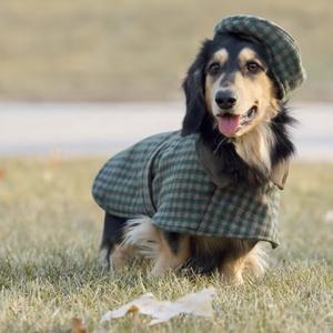 Roupas quentes para cães de lã, casaco feito à mão estilo britânico para cães, roupas para outono-inverno - Product Image 4