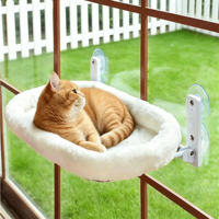 Nouveau jouet à mâcher moderne en peluche pliable pour chat, à ventouse puissante, à suspendre pour balcon, pour chatons de grande taille et corpulents