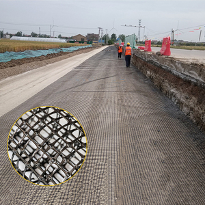 Hai chiều hai chiều Polyester <span class=keywords><strong>geogrid</strong></span> Nhà Máy Giá bền giữ lại tường gia cố mô hình 20-20kn 40-40kn có sẵn nhựa PP - Product Image 4