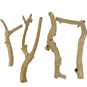 Décoration d'escalade pour reptiles en bois naturel, ornement écologique pour terrarium, fabriqué au Vietnam - Product Image 1