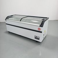 Lemari Pendingin Komersial Eropa dengan Pintu Kaca Temper dan Kontrol Temperatur Digital Langsung untuk Display Es Krim dan Makanan Beku