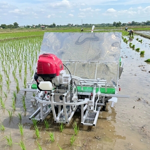 Fabricante de Equipos de Siembra Agrícola, Venta al por Mayor de Máquina de Plantación Manual de Precisión de 4 Líneas x 18 cm, Mejor Precio - Product Image 1