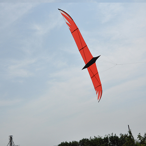 Nouveau <span class=keywords><strong>grand</strong></span> couteau sur mesure de 4 mètres oiseau <span class=keywords><strong>cerf</strong></span>-<span class=keywords><strong>volant</strong></span> P31tissu tiges de carbone pur élégant doux brise posture de vol pour les adultes à voler - Product Image 2