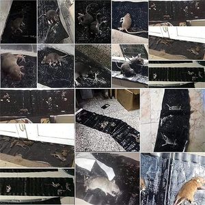 Mạnh Mẽ Chuột Không Thấm Chuột Keo Dựa Chuột Keo Chăn Cho Chuột Và Chuột Điều Khiển - Product Image 5