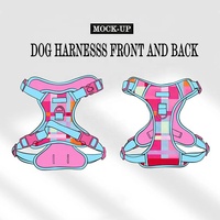 Harnais pour chien personnalisé, réglable, respirant, écologique, rembourré, de luxe, OEM, sur mesure, Sunraymascota