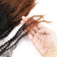 # Cheveux humains brésiliens Remy Afro Kinky en vrac non traités 1B/30 4B, 50 grammes, double épaisseur pour tresses