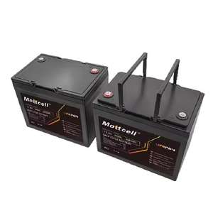 Batteria LiFePO4 12.8V 100Ah per Accumulo Energetico Domestico, Cella Personalizzata - Product Image 1