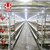 Système de cages à poulets de chair type H, cage à poulets de chair avec alimentation et abreuvement automatiques, bande de fumier, sol en plastique à lattes, 4 niveaux, vente en gros