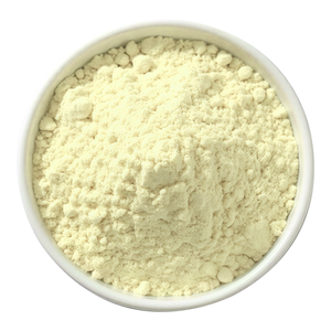 Polvo de licopodio ultrafino de esporas de Clubmoss | Agente de polvo botánico | CAS 8023-70-9 - Product Image 1