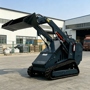 Minicargadora Compacta Profesional con Ruedas Pequeñas, Motor EPA CE 5 para Uso en Construcción y Jardinería - Product Image 6