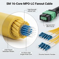Câble de distribution 16 fibres OS2 SM MPO vers LC LSZH, 1x 16 fibres MPO femelle vers 8x LC duplex, haute vitesse 100G, 50cm, Jumper