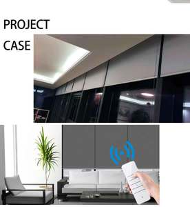 Motor de tubo de rodillo inteligente moderno de 25mm, 1.2Nm, Operación silenciosa, Control <span class=keywords><strong>remoto</strong></span> recargable para persianas de ventana interiores/exteriores, Digital - Product Image 4