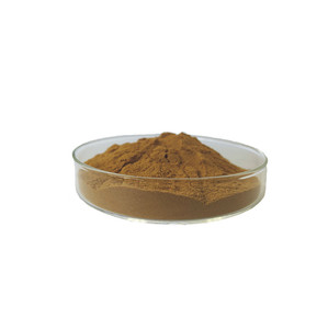 인기 판매 중인 그린 커피빈 추출물 식품 등급 보충제 그린 커피빈 추출 분말 - Product Image 4