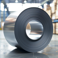 Harga Coil Plat Timah dari Cina untuk Wadah dan Kaleng Plat Timah dengan Layanan Pengelasan, Grade SPHC Ketebalan 0.15-0.5mm