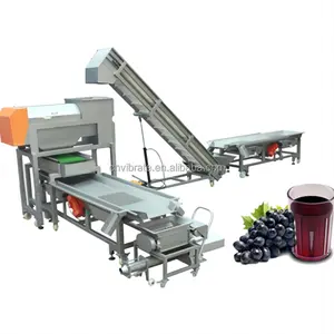 VBJX plant mini grapes pear orange lemon juice making machine for dragon fruit production line